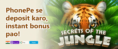 VIP Cashback Offer promotion